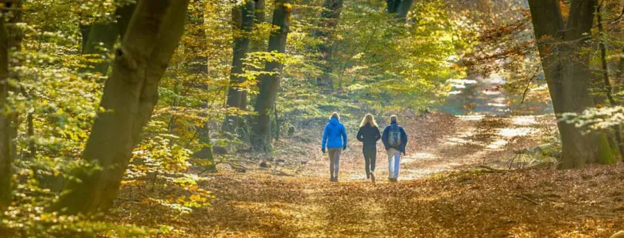 Samen wandelen