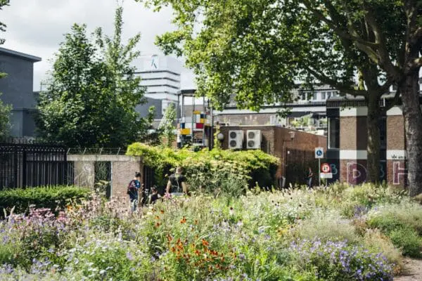 Stadsnatuur