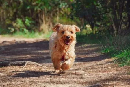 Samen wandelen