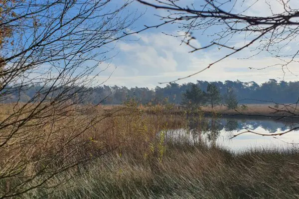 Kootwijker Veen- en Zandtocht